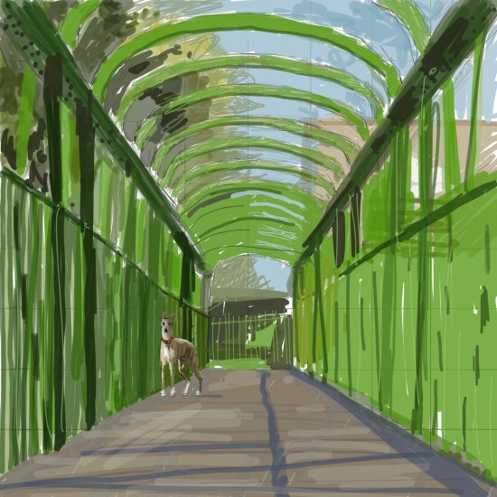 Effie on the green bridge3